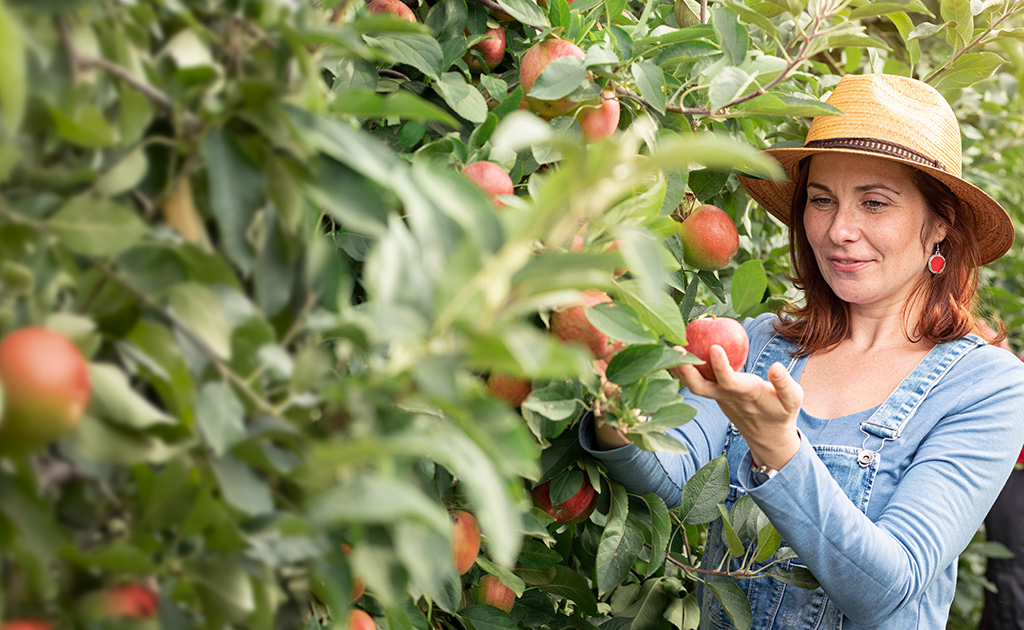 Prisma-BrokersLounge_Fonds_FundFinder